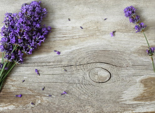 Fresh lavender flowers on a wooden background. Decorative border or frame with lavender and old wooden plank. Photo above.