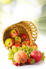 different fruits in inverted basket closeup