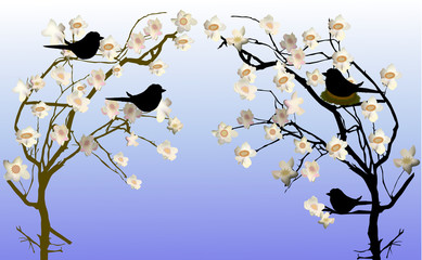 Spring flowering trees with a nest and silhouettes of birds