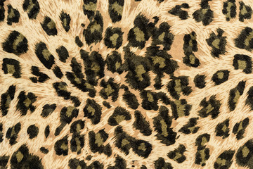 texture of print fabric striped leopard