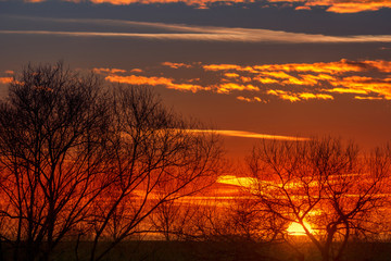 Obraz premium Sunset with silhouette trees