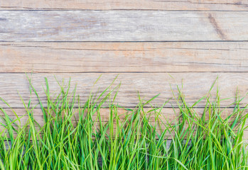 Holz Hintergrund mit Gras Dekoration und Textfreiraum