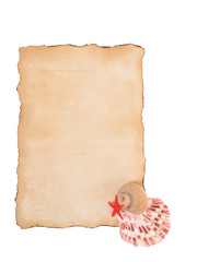  Old paper and seashells isolated on a white background