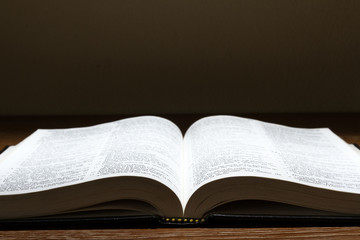 holy bible