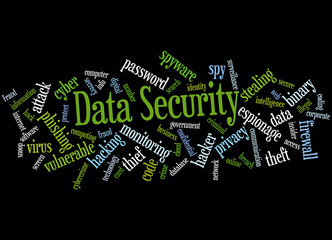 Data Security, word cloud concept 2