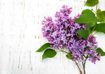 Lilac flowers