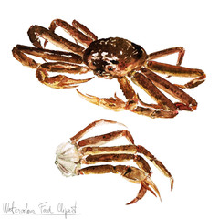 Watercolor Food Clipart - Crab