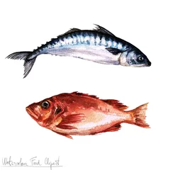 Gordijnen Watercolor Food Clipart - Fish © nataliahubbert