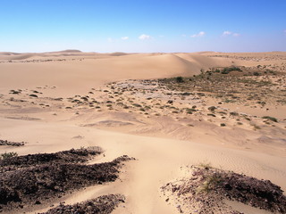 Fototapeta na wymiar Dunes between Shannah and Al Ashkharah