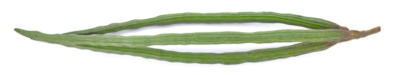 moringa on a white background