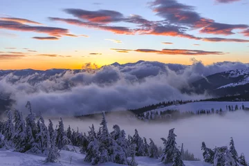 Foto op Plexiglas Mistig bos Winterlandschap. Zonsopgang in de bergen. Prachtige wereld. Kerst tafereel. Karpaten, Oekraïne, Europa