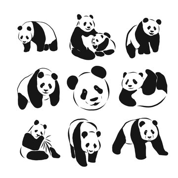 Set of Vector Panda silhouettes
