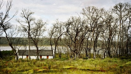 Landscape of little Farm house under dead trees