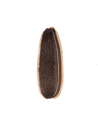 sunflower seeds pile against white background