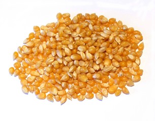 Popcorn on white background.