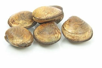 amandes 10022016