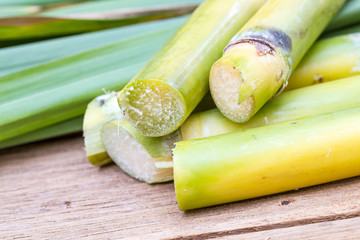 Fresh sugarcane