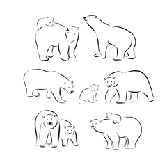 polar bear vector