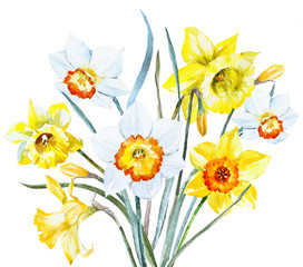 Watercolor spring flowers