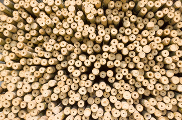 Stacked wood pine timber for construction buildings Background