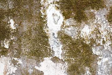 white concrete wall texture