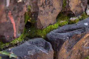 Brick wall