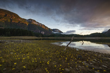 Buttle Lake, Stratcona Provincial Park, Campbell River, Vancouver Island, British Columbia