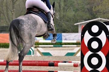 Hürdenspringen, Springreiten,  Reitsport, Pferdesport, Reiten, 