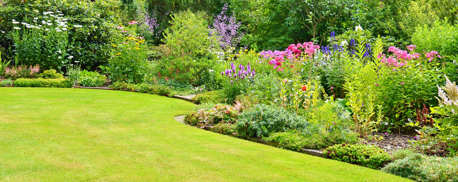 Gartenanlage Panorama mit Stauden im Sommer