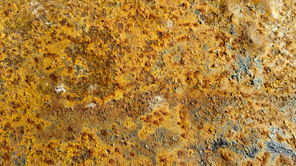 
rusty plate
