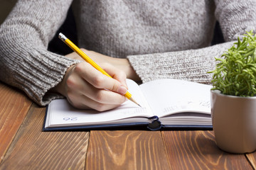 female hands with pencil writing on notebook