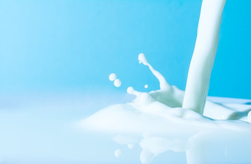 splash of milk, pouring jet stream of milk on a light blue background