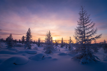 Winter landscape with forest, cloudy sky and sun 