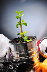 Birth of a plant from a can in the garbage