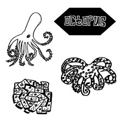 Seafood octopus Japanese and Spanish cuisine