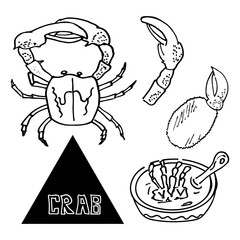 seafood sea crab appetizer of crab with beer