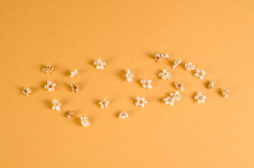 Fototapeta na wymiar small white flowers tileable