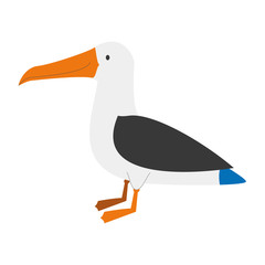 Fototapeta premium Cute cartoon albatross vector illustration