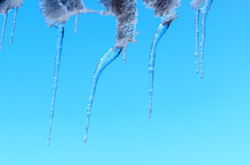 Spring thaw, ice icicles on blue sky background.
