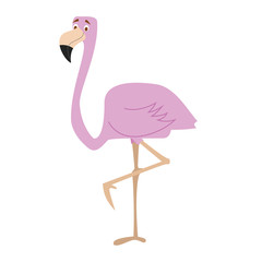 Cute cartoon flamingo vector illustration