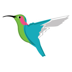 Small exotic hummingbird