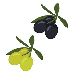 Black and green olives