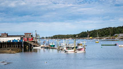 Fototapeta premium Maine Harbor Scene