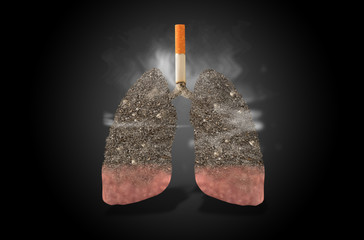 Cigarette, lungs full of ash, concept - 102445973