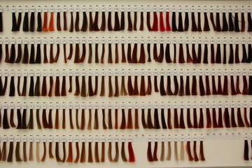 farbpalette, friseur, strähnen