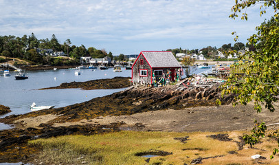 Maine Harbor Scene