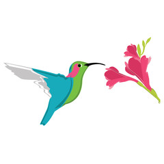 Humming bird and flower