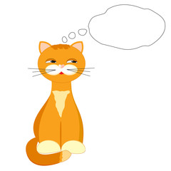 red cat on white background