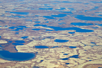 tundra in autumn, top view