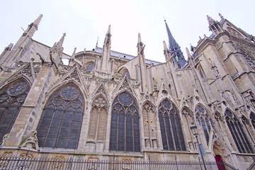 The image of Notre Dame de Paris
